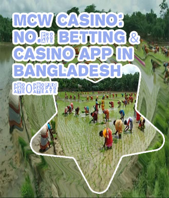 Baji bet strategy in Bangladesh