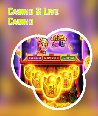 Baji live net casino