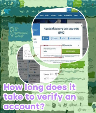 How to search bet id on baji bet
